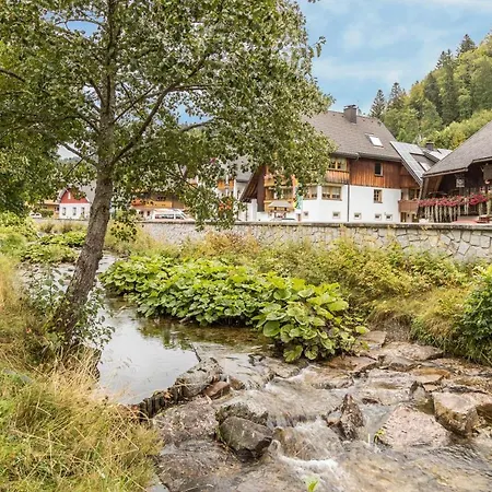 Am Wehrastrand App 4 *